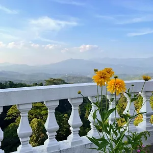 Bellwood Hills & Канди